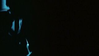 SEAN PENN AND DIEGO LUNA NUDE/SEXY SCREENSHOT 3 IN MILK