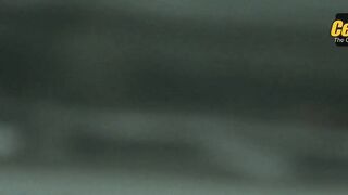 UNKNOWN NUDE/SEXY SCENE IN ANIMAL LOVE