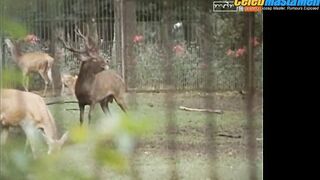 KARSTEN SPECK NUDE/SEXY SCREENSHOT 3 IN TIERPARKGESCHICHTEN